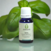 Basil Essential Oil