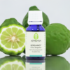 Bergamot Essential Oil