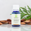 Cedarowood Atlas Essential Oil