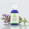 Clary Sage Essential Oil