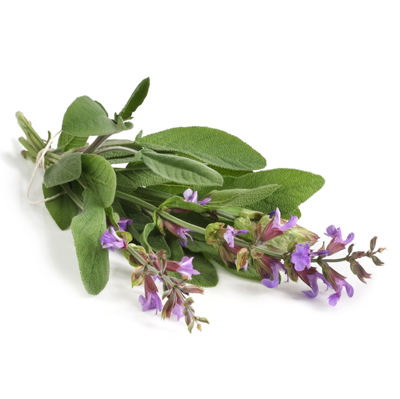 Clary Sage