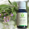 Clary Sage Essential Oil