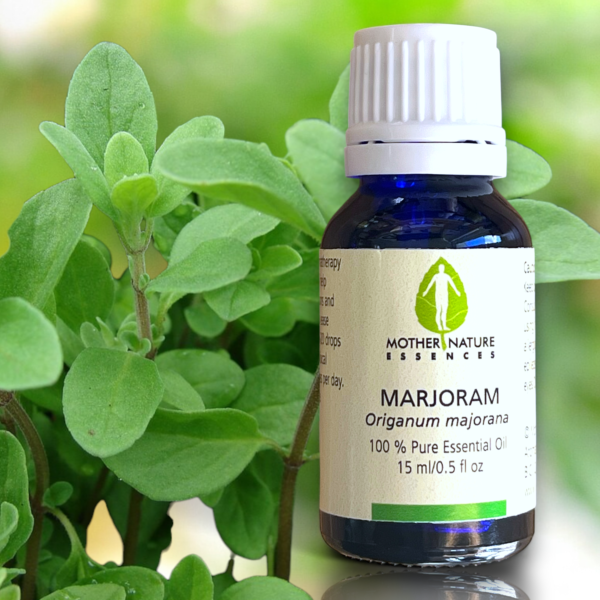 Marjoram Essential Oil